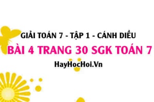 Giải bài 4 trang 30 Toán 7 Tập 1 SGK Cánh Diều